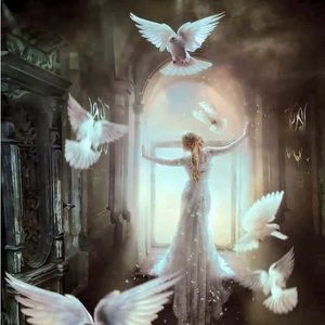 Meet your Posher, Live2thrift